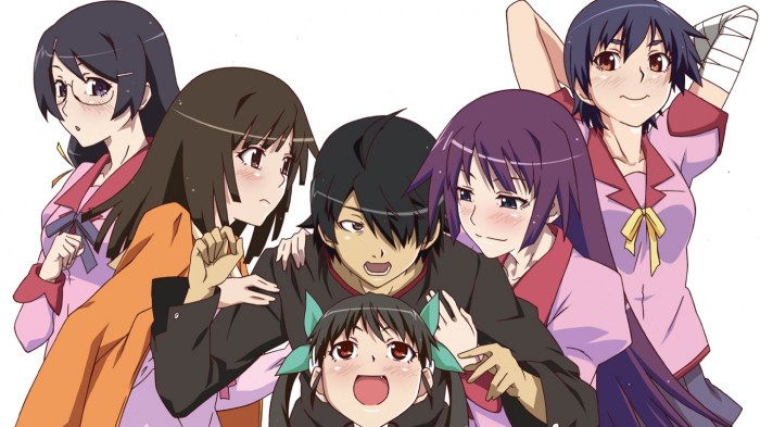 I think this picture has appeared in every blog post about Bakemonogatari ever written and I don't want to feel left out