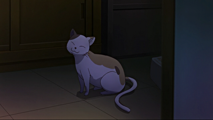 Obligatory kitty pic.