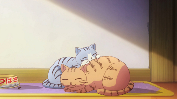 At least the kitties get it.