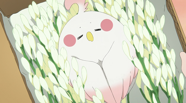 It's my Dera in a box, girl