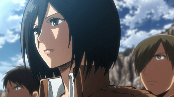 vlcsnap-2013-04-21-13h24m42s117