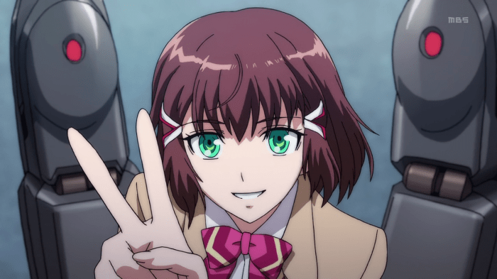 vlcsnap-2013-05-05-13h20m44s43