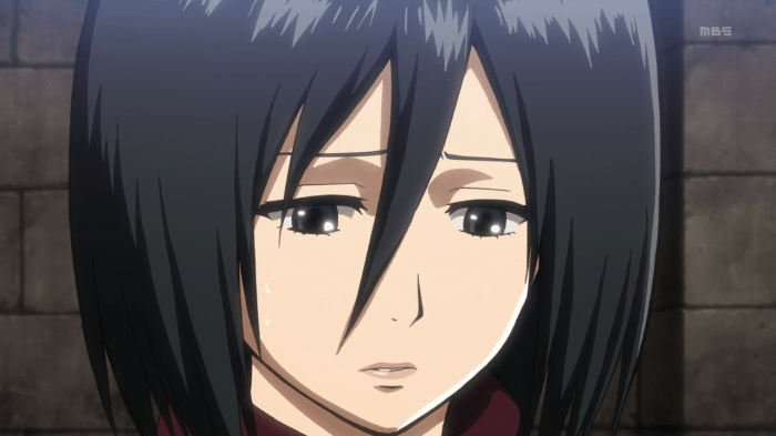 vlcsnap-2013-05-05-13h29m55s183