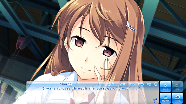 I would be crying as well if someone translated my dream so poorly.