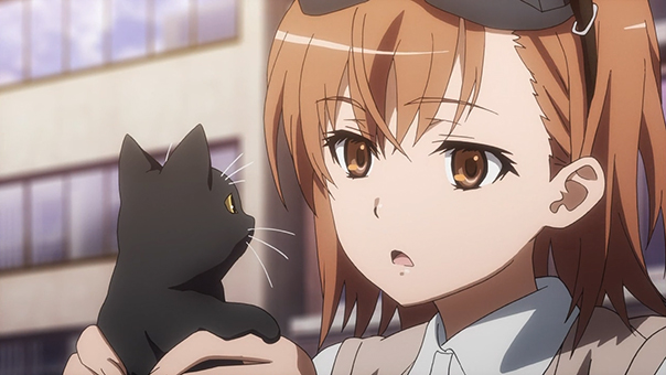 Maybe the cat would like you better if you didn't try to feed it bread