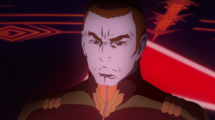 vlcsnap-2013-07-31-17h38m22s250