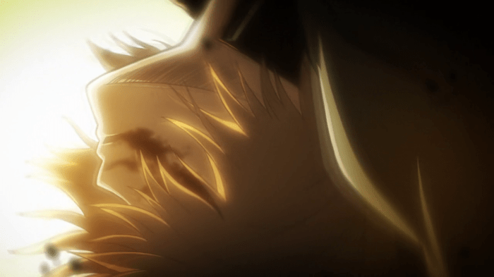 vlcsnap-2013-09-08-21h31m05s169