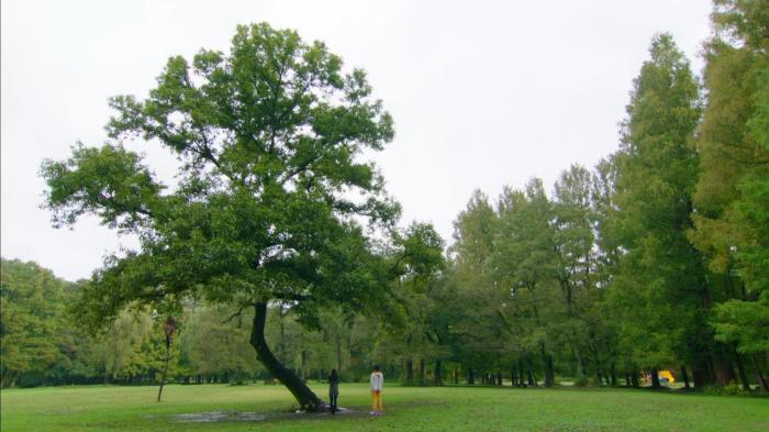 [Over-Time] Kamen Rider Drive - 13 [F5E45D16].mkv_snapshot_03.32_[2015.01.16_23.31.55]