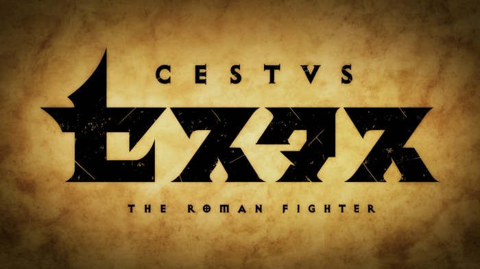 cestvsromanfightertitle