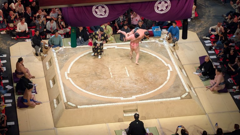 Sumo Fans A Very GLORIO 2025: Euri Becomes a Sumo Fan | The Glorio Blog